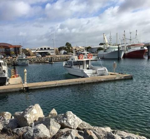 Port Lincoln Shark Apartment 3 Екстер'єр фото
